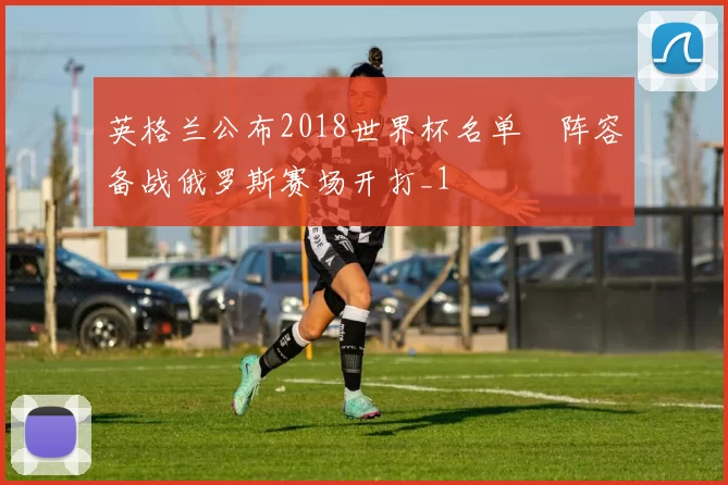 英格兰公布2018世界杯名单　阵容备战俄罗斯赛场开打_1