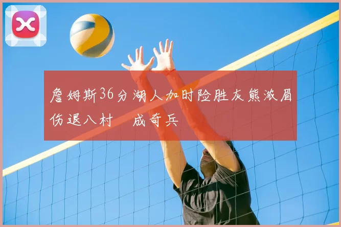 詹姆斯36分湖人加时险胜灰熊浓眉伤退八村塁成奇兵