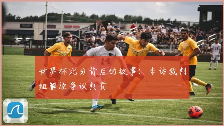 世界杯比分背后的故事：专访裁判组解读争议判罚