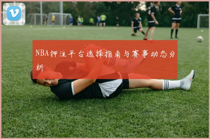 NBA押注平台选择指南与赛事动态分析