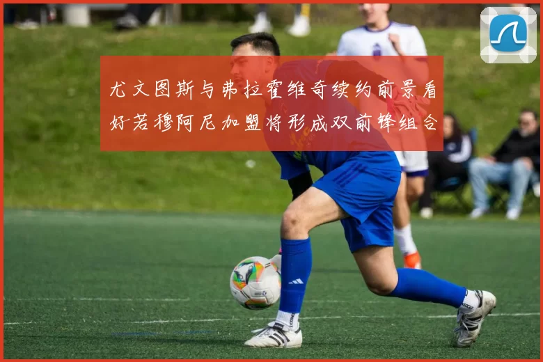 尤文图斯与弗拉霍维奇续约前景看好若穆阿尼加盟将形成双前锋组合