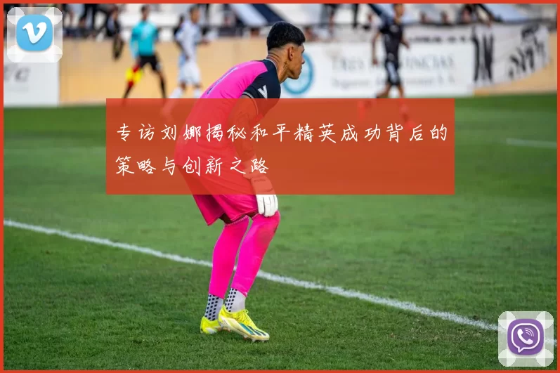 专访刘娜揭秘和平精英成功背后的策略与创新之路