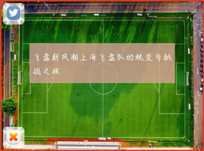 飞盘新风潮上海飞盘队的蜕变与挑战之旅