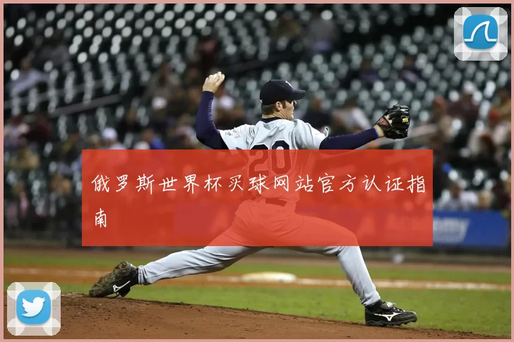 俄罗斯世界杯买球网站官方认证指南