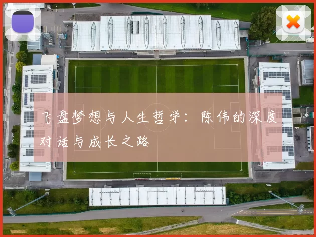 飞盘梦想与人生哲学：陈伟的深度对话与成长之路