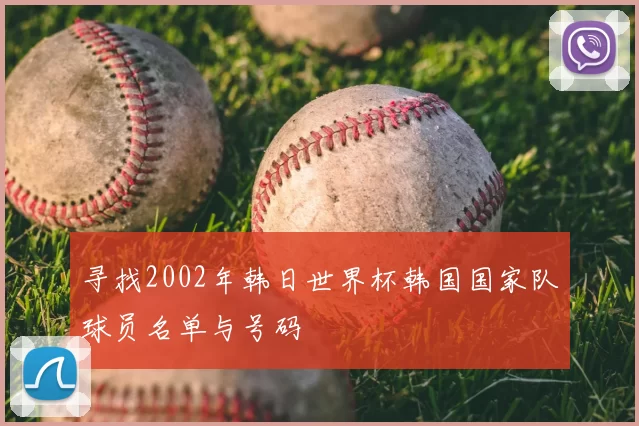 寻找2002年韩日世界杯韩国国家队球员名单与号码
