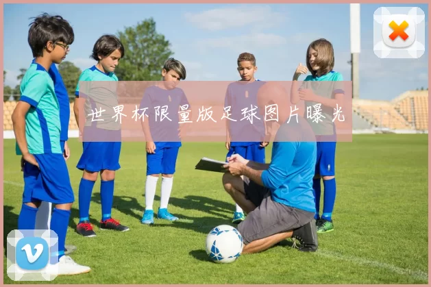 世界杯限量版足球图片曝光