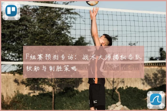 F组赛预测专访:战术大师揭秘各队软肋与制胜策略