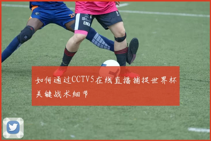 如何通过CCTV5在线直播捕捉世界杯关键战术细节