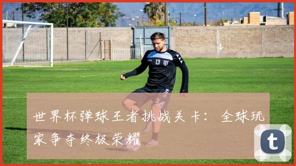 世界杯弹球王者挑战关卡:全球玩家争夺终极荣耀