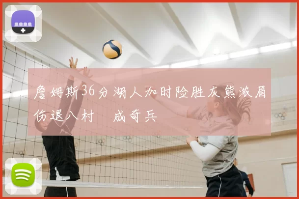 詹姆斯36分湖人加时险胜灰熊浓眉伤退八村塁成奇兵